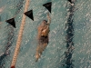bucs26